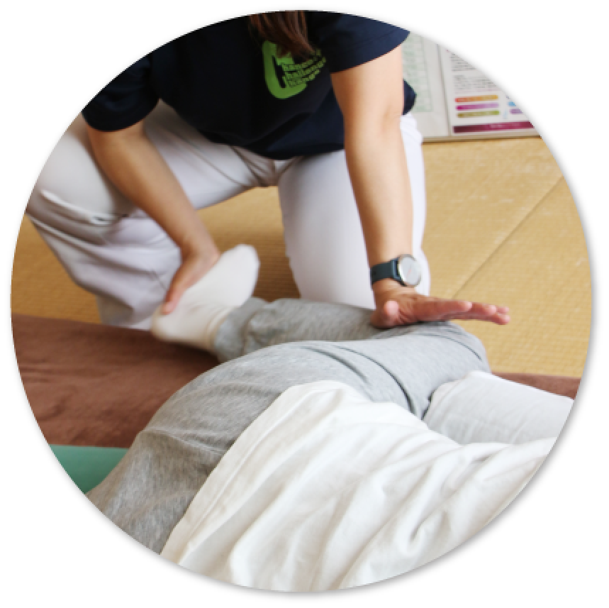 骨格から全身を整えます